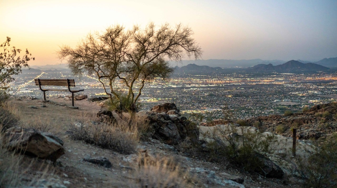Bench and tree at a scenic spot on South Mountain, looking over the city at dusk.